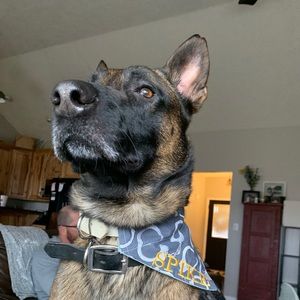 Meet your Posher, Kelsey